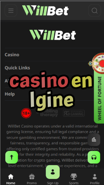 Casino En Ligne - Top Online Casinos in France-casinoorder.vip
